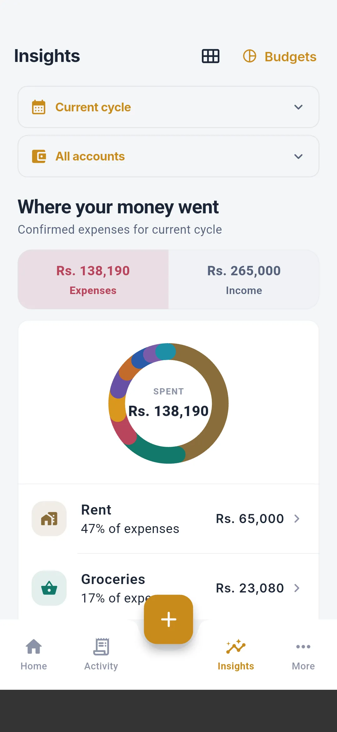Salli insights screen showing spending charts and category breakdowns